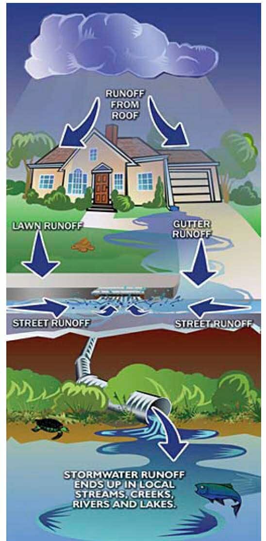 Pond Runoff